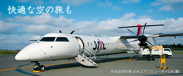 快適な空の旅も